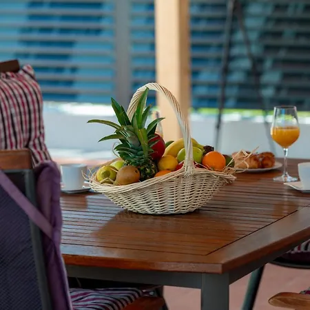 Anny Willa Mokošica